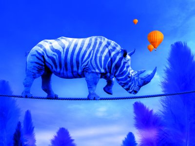 Blue Rhino walking on rope