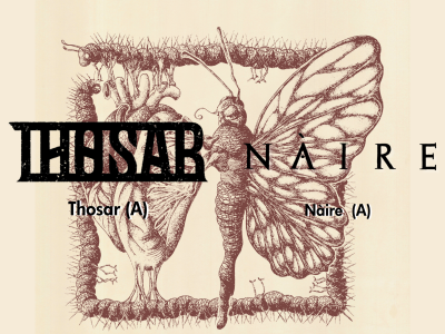 Asphalt MuKu Website_2026