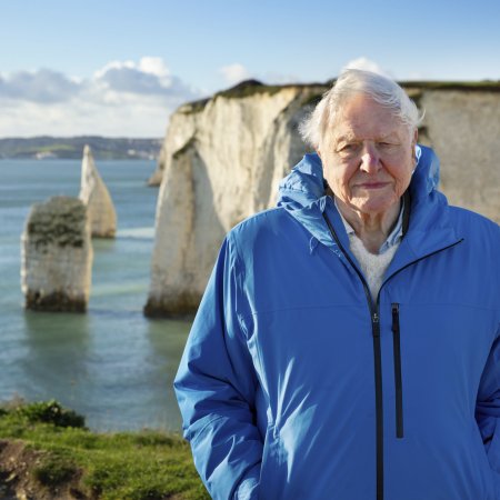 Ocean With David Attenborough Keith Scholey ©Silverback Films and Open Planet Studios
