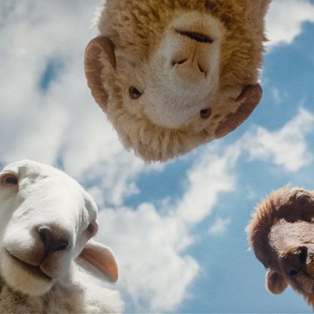 (L to R) Regina Hall as the voice of Cloud, Chris O'Dowd as the voice of Mopple and Julia-Louis Dreyfus as the voice of Lily in THE SHEEP DETECTIVES, from Amazon MGM Studios.
Photo credit: Courtesy of Amazon MGM Studios
© 2026 Amazon Content Services LLC. All Rights Reserved.