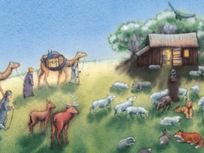 Weihnachtsstern _26_27