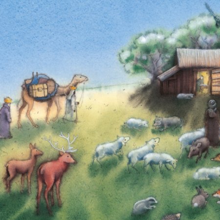 Weihnachtsstern _26_27