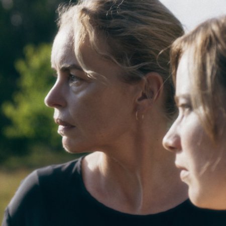 ZIKADEN @Judith-Kaufmann