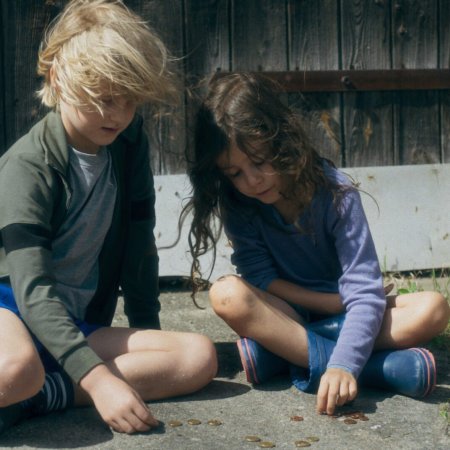 ZIKADEN @Judith-Kaufmann